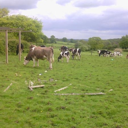 Beoley Lodge Redditch Kültér fotó