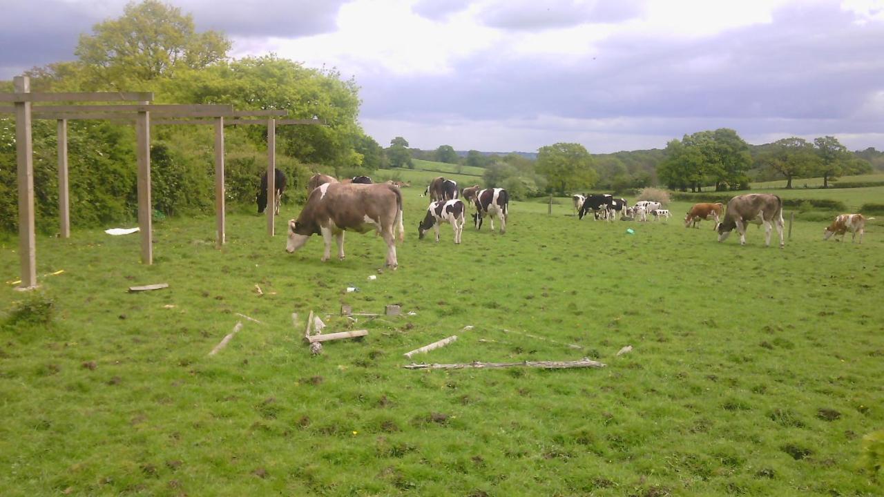 Beoley Lodge Redditch Kültér fotó